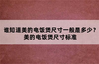 谁知道美的电饭煲尺寸一般是多少？ 美的电饭煲尺寸标准